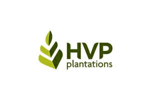 HANCOCK VICTORIAN PLANTATIONS